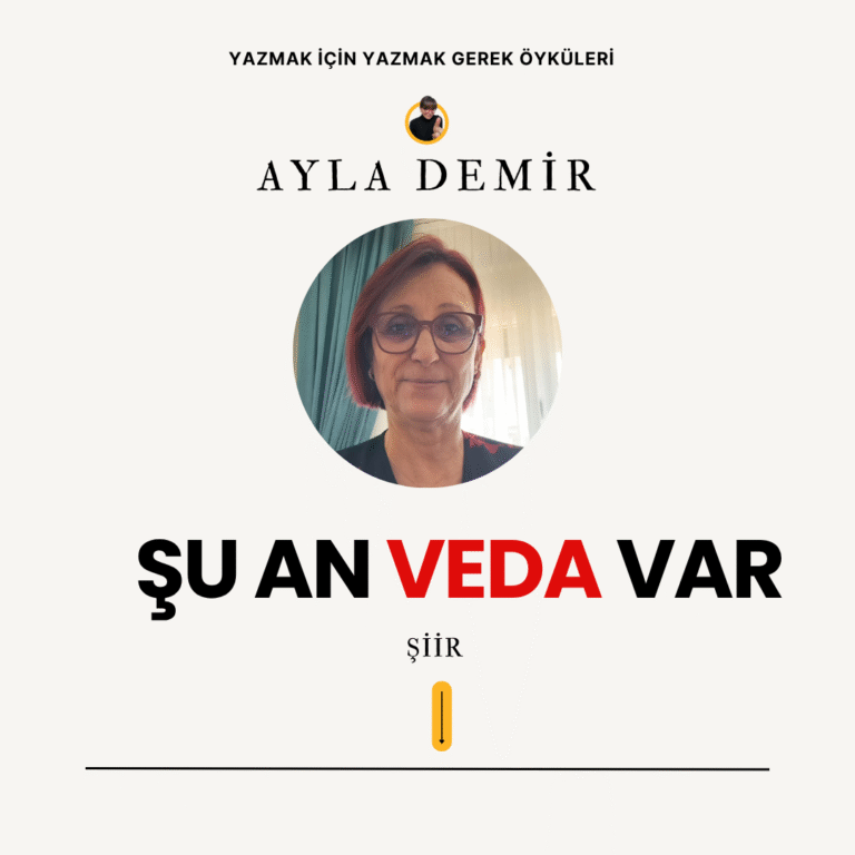 BLOG ROMAN GÖRSELLERİ