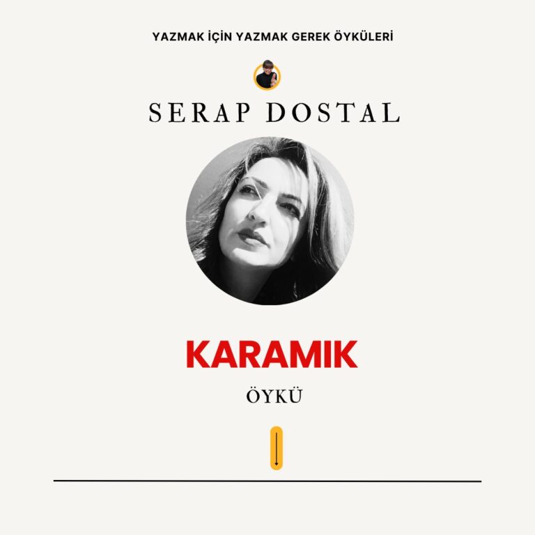 WhatsApp Image 2025-11-22 at 11.31